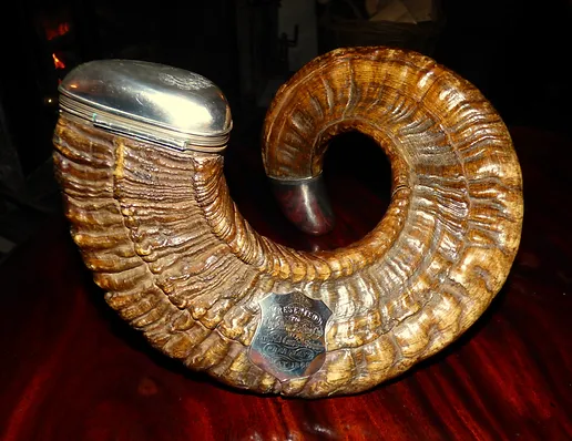 The Rams Horn