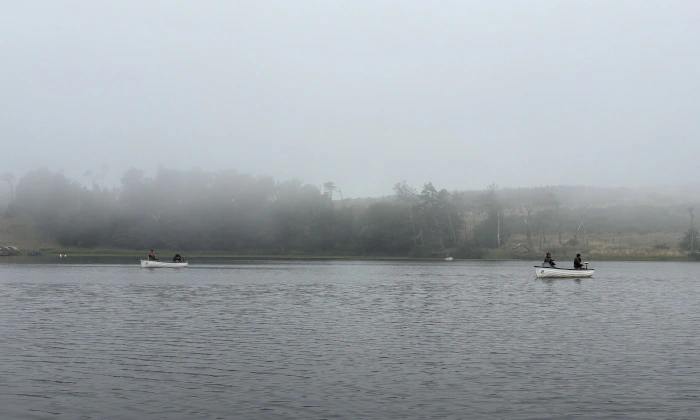 Misty afternoon at Coldingham